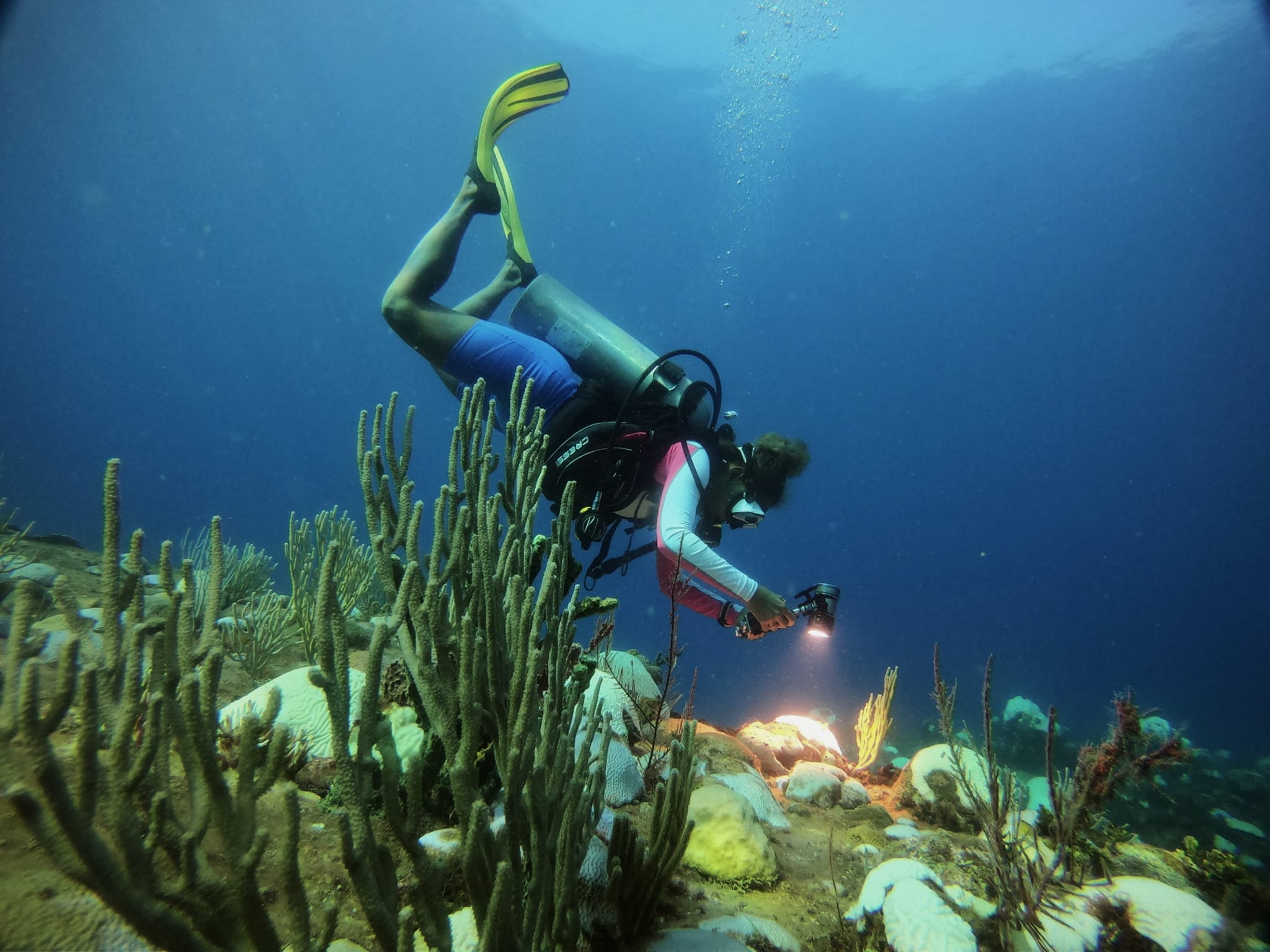 Faro Luna Diving Center