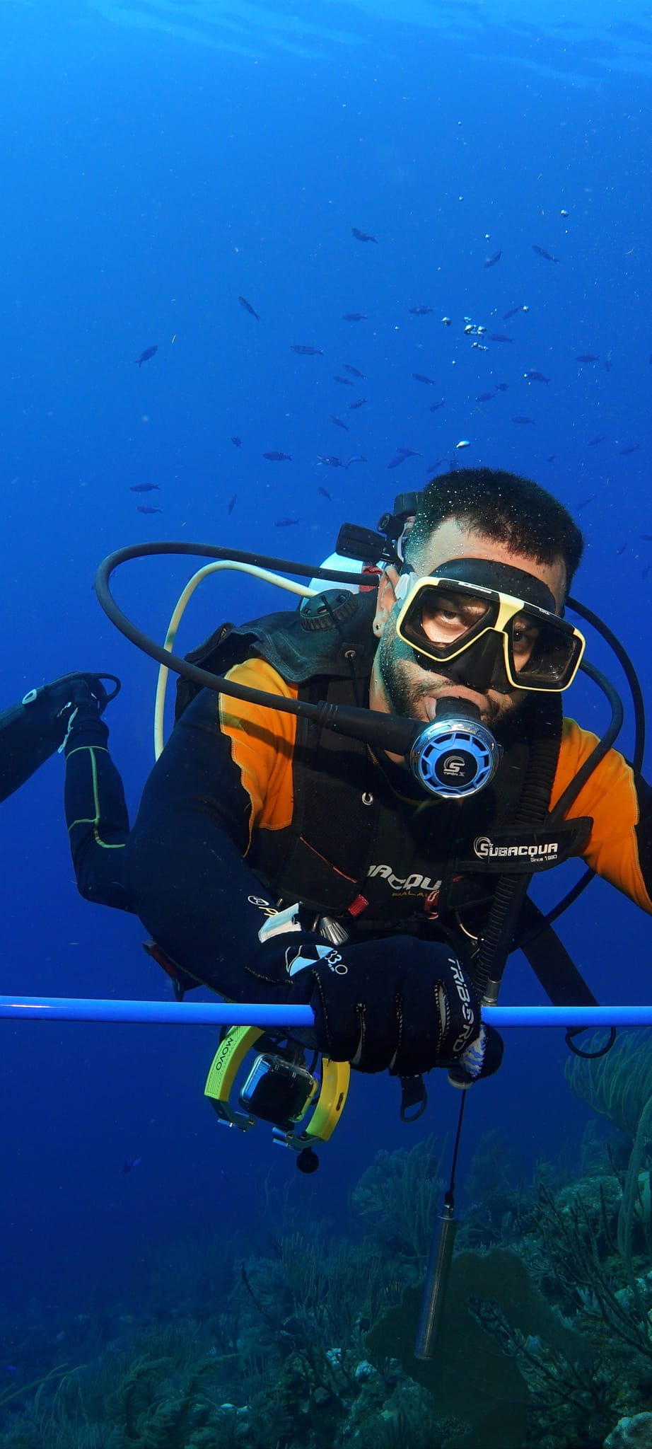 Faro Luna Diving Center