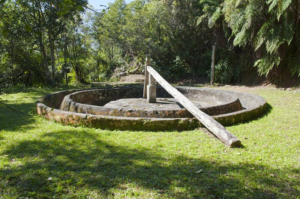 Cafetal La Isabelica