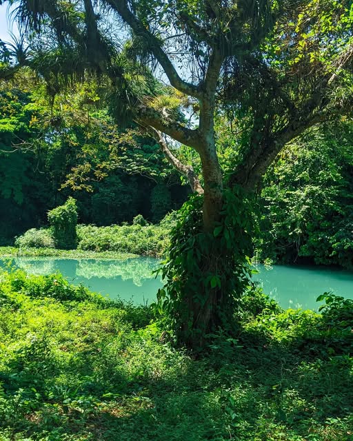 Guamacaro’s Tour y sus rutas turísticas a favor de la memoria y la naturaleza