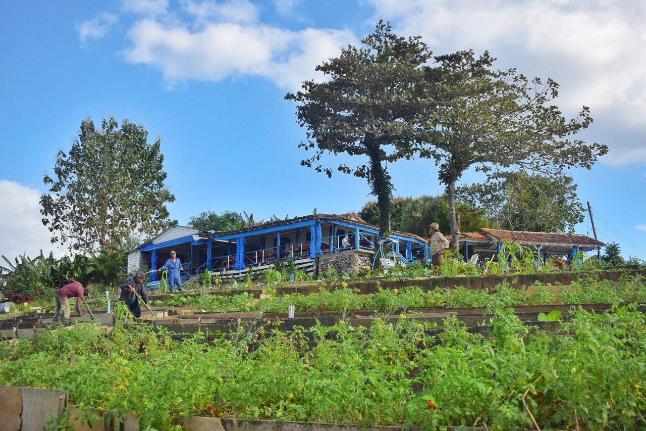 Agroturismo en Viñales: así es viajar conectado a la tierra