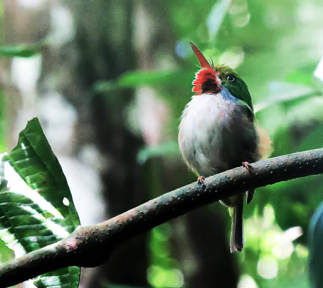 Lomas de Banao: Un pequeño tesoro ecológico