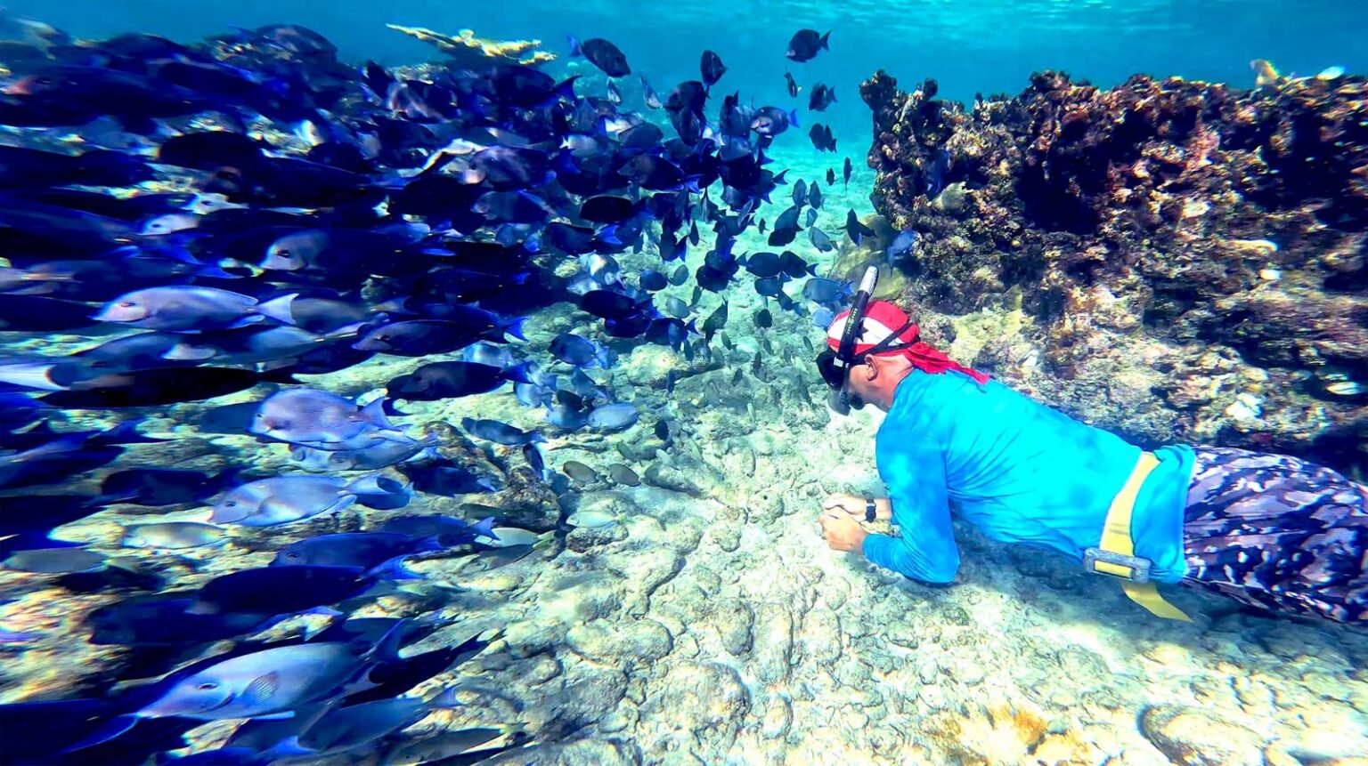 La Cueva de los Peces, el pequeño secreto de la Ciénaga de Zapata