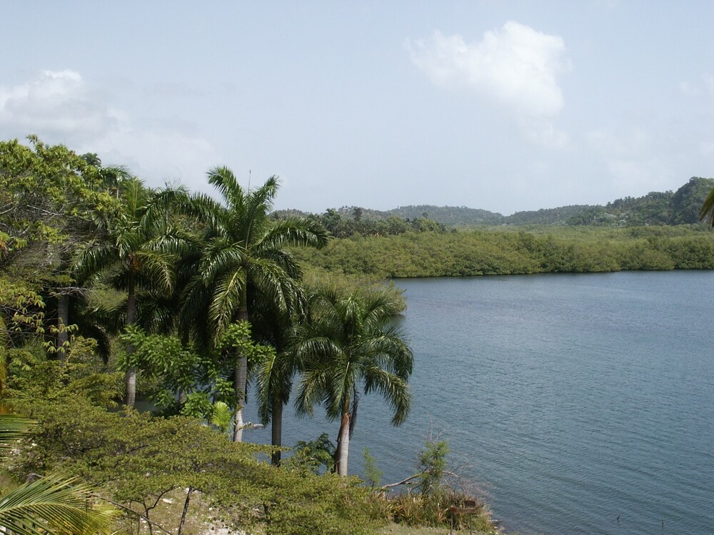 Parque Nacional Alejandro de Humboldt, 25 años como Patrimonio Mundial de la Humanidad