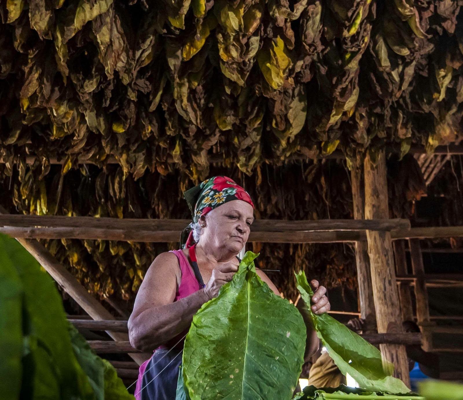 A journey into the Cuban soul