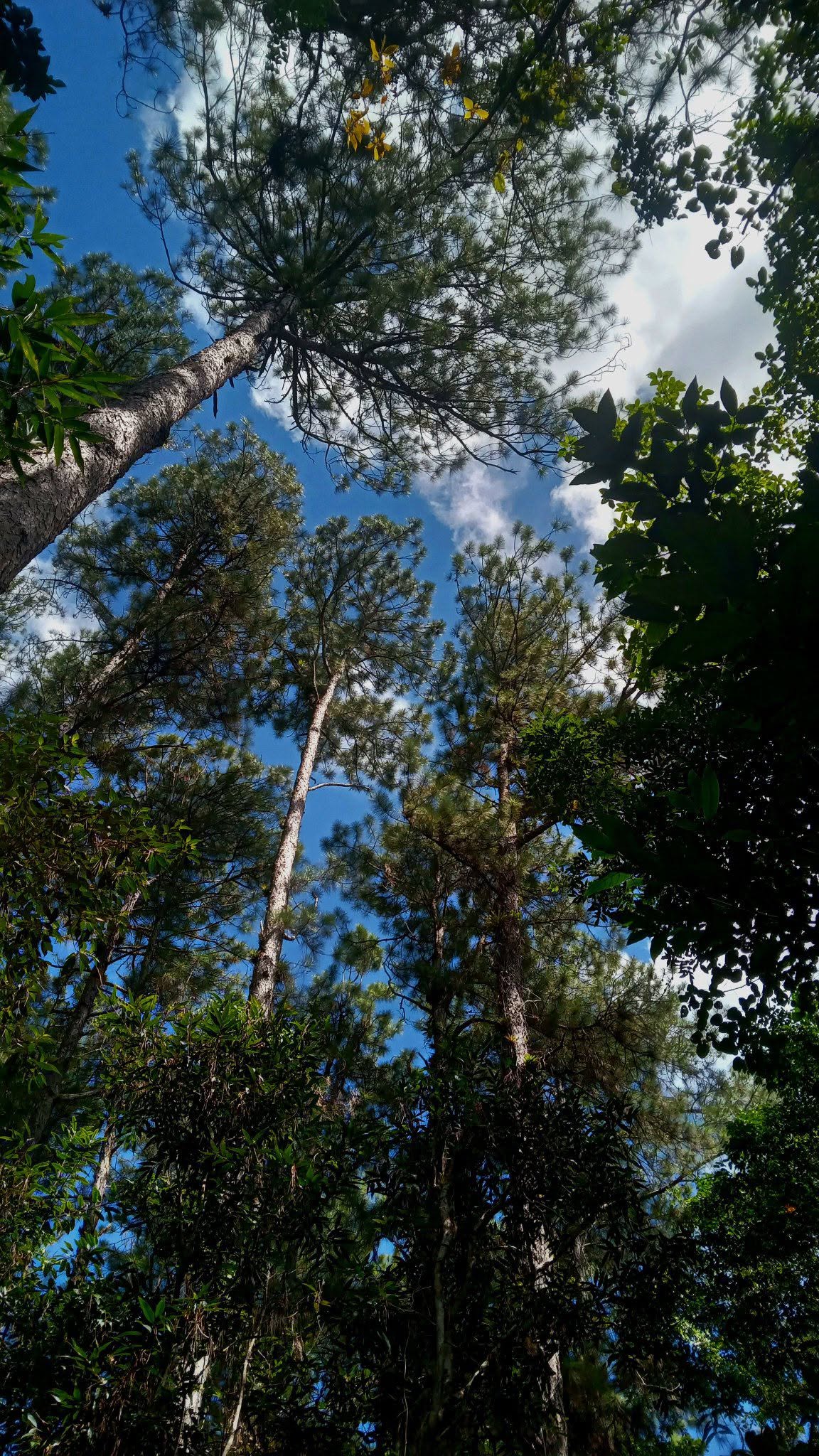 ¿Qué convierte a un destino de naturaleza en un Geoparque?
